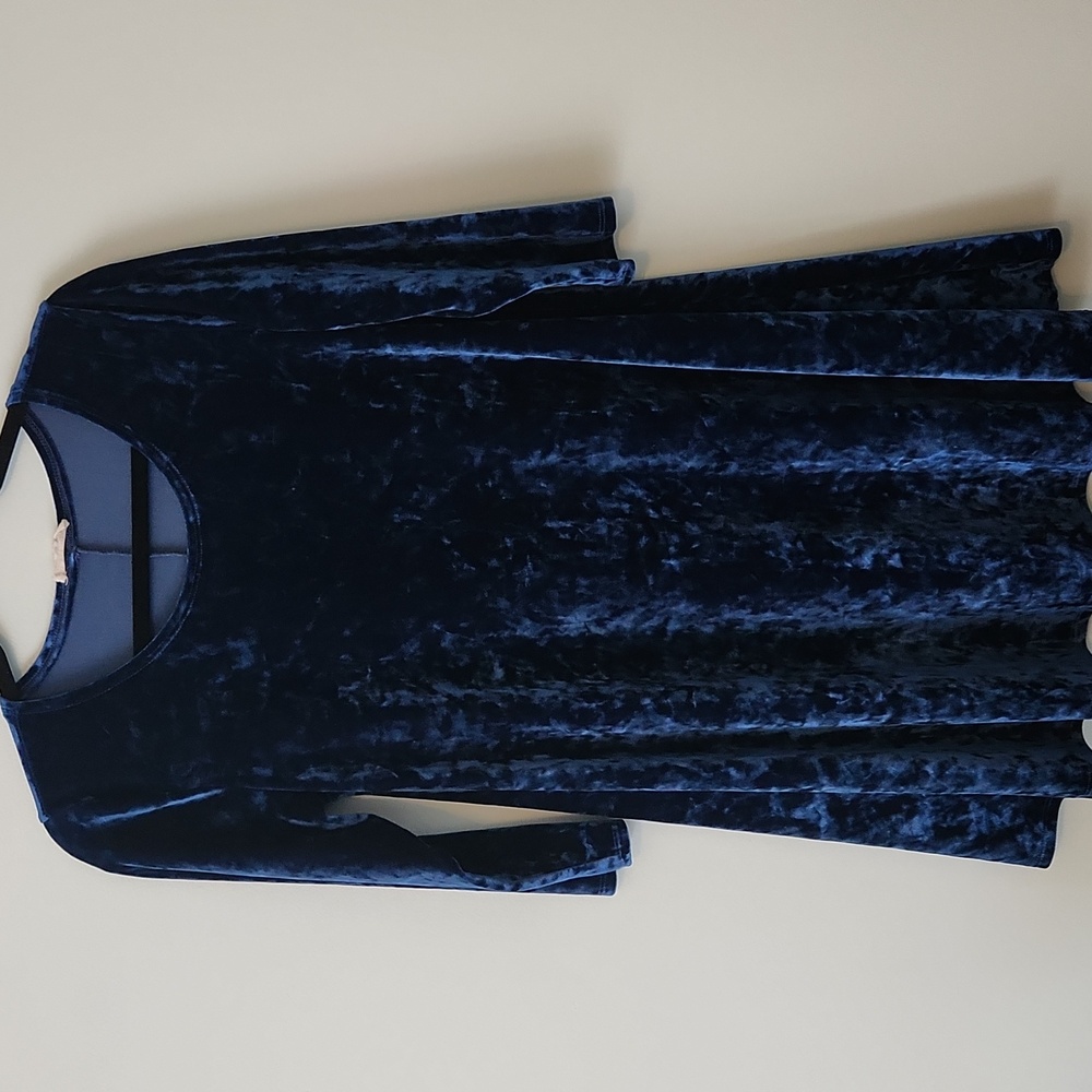 Velvet Tunic or Dress